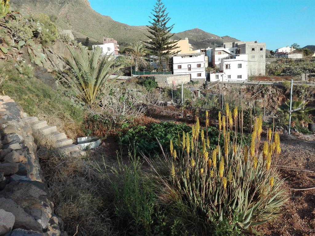 Finca Patio Canario Arona  Exterior foto